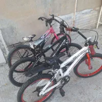 3 عدد دو چرخه 20|دوچرخه، اسکیت، اسکوتر|چوار, |دیوار