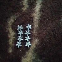 گوشواره نقره