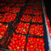 درمان قطعی کبد چرب وسنگ صفرا