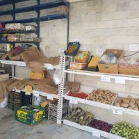 ۲۰ متر مغازه/میوه فروشی/لبنیاتی/پروتئینی/دهکده|اجارهٔ مغازه و غرفه|تهران, جنت‌آباد جنوبی|دیوار