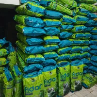 غذای خشک گربه فیدار ، مفید ،انواع خاک گربه