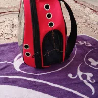 مقداری وسایل سک|لوازم جانبی حیوانات|محمدشهر, محمدشهر|دیوار