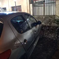 206 نقره ای|خودرو سواری و وانت|رشت, کاکتوس|دیوار