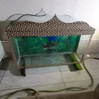 آکواریوم|ماهی|کامیاران, |دیوار