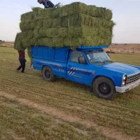 سبیس یونجه|عمده‌فروشی|مشهد, مهدی آباد|دیوار