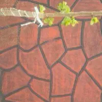 اجرای صفر تا صد فضا سازی باغ و ویلا|خدمات باغبانی و درختکاری|تهران, طرشت|دیوار