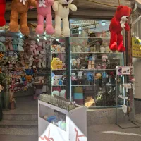 عروسک پولیشی اورجینال و ایرانی|اسباب‌بازی بچه|میانه, |دیوار