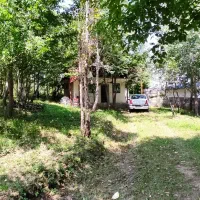 زمین ۵۰۰ متری کوهپایه ای|فروش زمین و ملک کلنگی|رضوانشهر, |دیوار