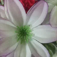 ایرپاد پیدا کردم