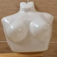 مانکن لباس زیر زنانه|فروشگاه و مغازه|بندر گناوه, |دیوار