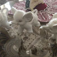 مجسمه دکوری فیل|مجسمه، تندیس، ماکت|میاندوآب, |دیوار