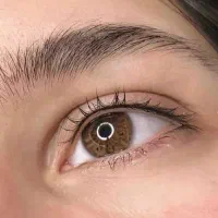 مدل شیدلب بنمژه میکرو|خدمات آرایشگری و زیبایی|بم, |دیوار