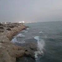 باغ ویلا نزدیک به ساحل دریا در. بندرزیبای گناوه|اجارهٔ کوتاهمدت ویلا و باغ|بندر گناوه, |دیوار