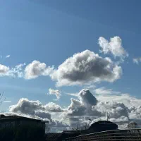 کار در نانوایی