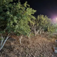 ویلای لوکس در صوفیان|فروش خانه و ویلا|تبریز, |دیوار