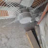 دوعدد فن بزرگ درحد نو