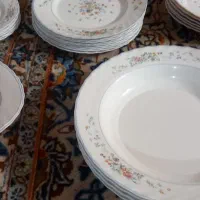 سرویس ارکوپال ویکتوریا و ۴ عدد دیس گل میوه نو|ظروف سرو و پذیرایی|تهران, بهار|دیوار