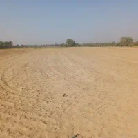 زمین کشاورزی|اجارهٔ دفتر صنعتی، کشاورزی، تجاری|عنبرآباد, |دیوار