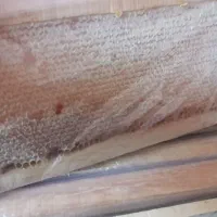 عسل طبیعی به صورت کلی و  جذ