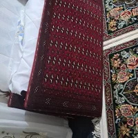 ۲جفت پشتی