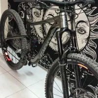 دوچرخه اندرو جاینت رین