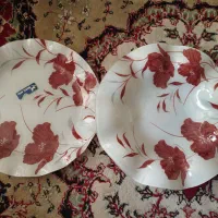 ظروف چینی