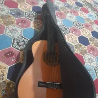 گیتار قیمت دونیم بدون تخفیف کار نکرده