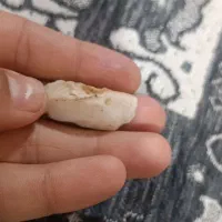 راف یاقوت