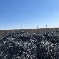 تیپ قطره ای خریداریم