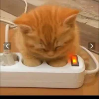 نیازمند رحم جایگزین مادر جایگزین