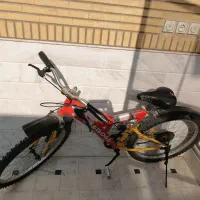 دو عدد دوچرخه