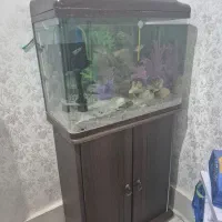 فروش اکواریوم شرکت دلسا