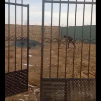 اجاره باغ ۳۰۲ متری گاوخانه جهت اجاره به انبار