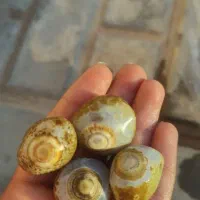 انواع سنگ مخصوص تراش نگین.با کیفیت بالا|جواهرات|فردوس (خراسان), |دیوار