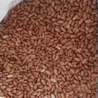 لوبیاقرمز کیلویی ۱۰۰تومان چیتی ۲۰۰عدس ۱۰۰نخود۱۱۰|خوردنی و آشامیدنی|پاکدشت, پاکدشت (مامازند)|دیوار