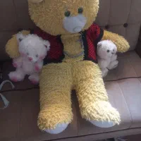 عروسک‌ها سالم