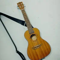 اوکولهله برند GECKO|گیتار، بیس، امپلیفایر|شیراز, گلکوب|دیوار