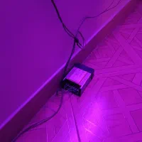 تابلو نئون در ابعاد بزرگ 1x1.5|ریسه و چراغ تزئینی|تهران, قزل قلعه|دیوار