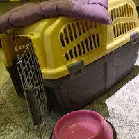 باکس سگ و ظرف غذا