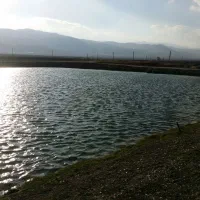 پرورش ماهی زمین کشاورزی 55هکتار