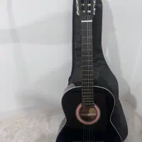 گیتار دایموند
