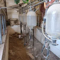شیر دوش ۴واحد