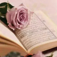 داوطلبانه