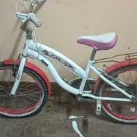 دوچرخه ۲۰دخترونه