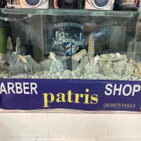 آکواریوم شیشه خم|ماهی|نهاوند, |دیوار