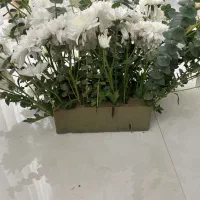 گل دیزاین شده|گل و گیاه طبیعی|مشهد, چهارچشمه|دیوار