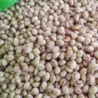 لوبیا چیتی خمین و ابلق درشت درجه یک|خوردنی و آشامیدنی|تهران, جوادیه|دیوار