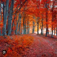 فروش زمین تجاری نزدیک به پمپ بنزین بخش چاهسن