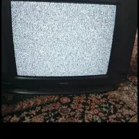 تلویزیون