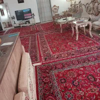 ۱۱۷ متر، آپارتمان ،شهرک دریا ،تهرانسر|اجارهٔ آپارتمان|تهران, شهرک دریا|دیوار